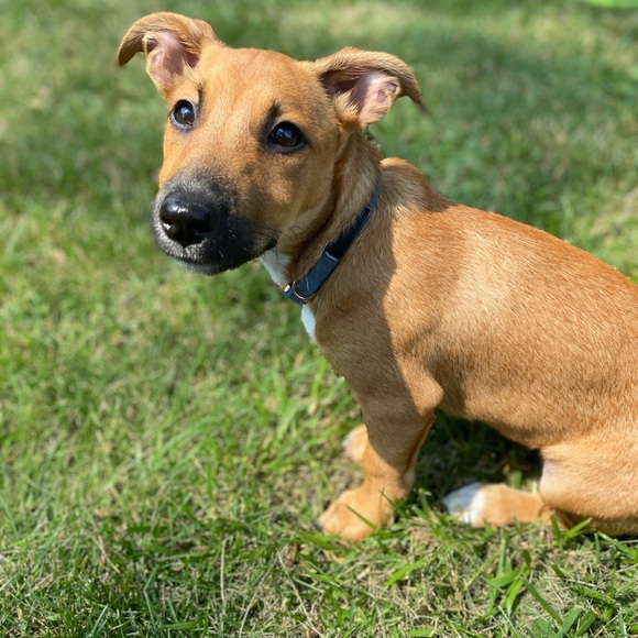 Meet your Posher, Taylor - Picture 1 of 1